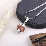 7 Mukhi Rudraksha silver cap pendant flat lay — buy original rudraksha pendant online India